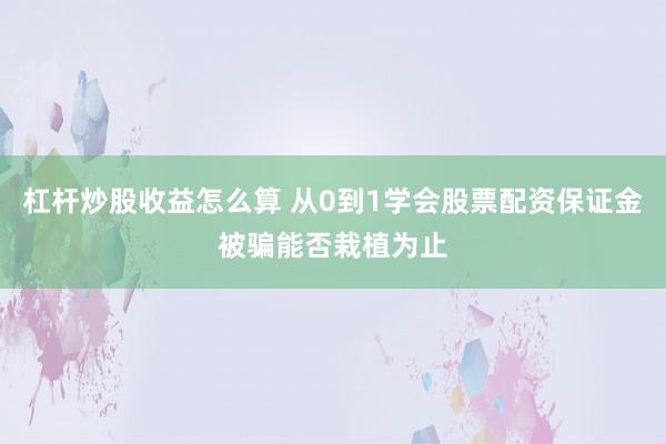 杠杆炒股收益怎么算 从0到1学会股票配资保证金被骗能否栽植为止